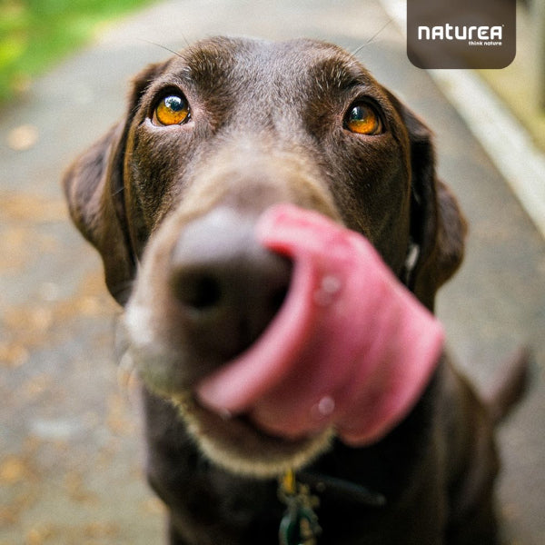 Naturea Félnedves Halas Jutalomfalat Kutyáknak