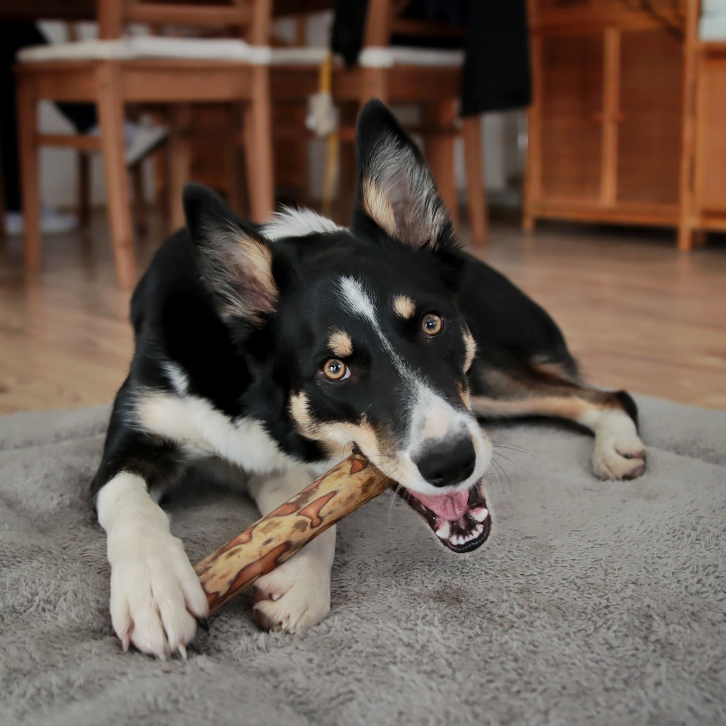 Green&Wild's Olívafa Rágóbot