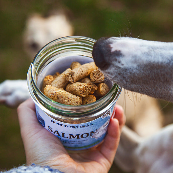 Zero Waste Lazacos Jutalomfalat - Pet Farm Family.hu