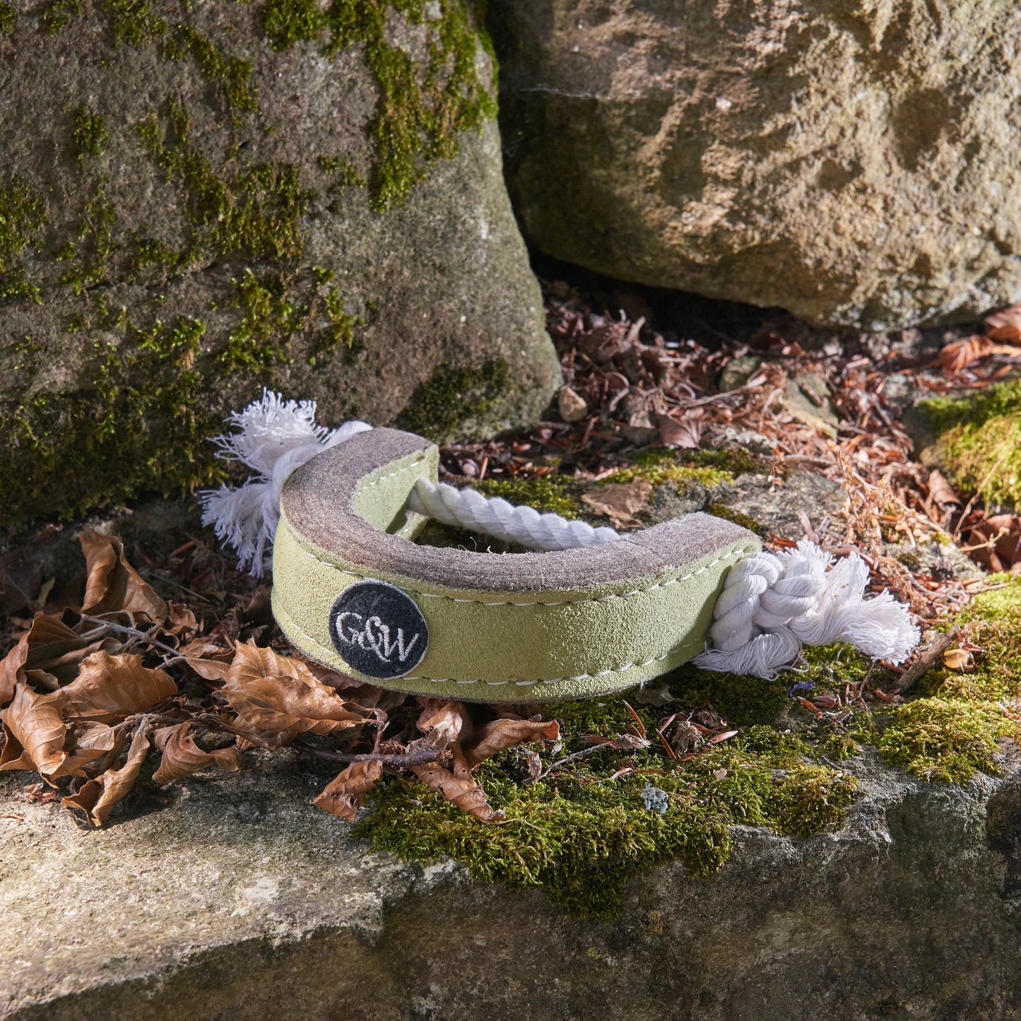 Húzd meg patkó - kutyajáték