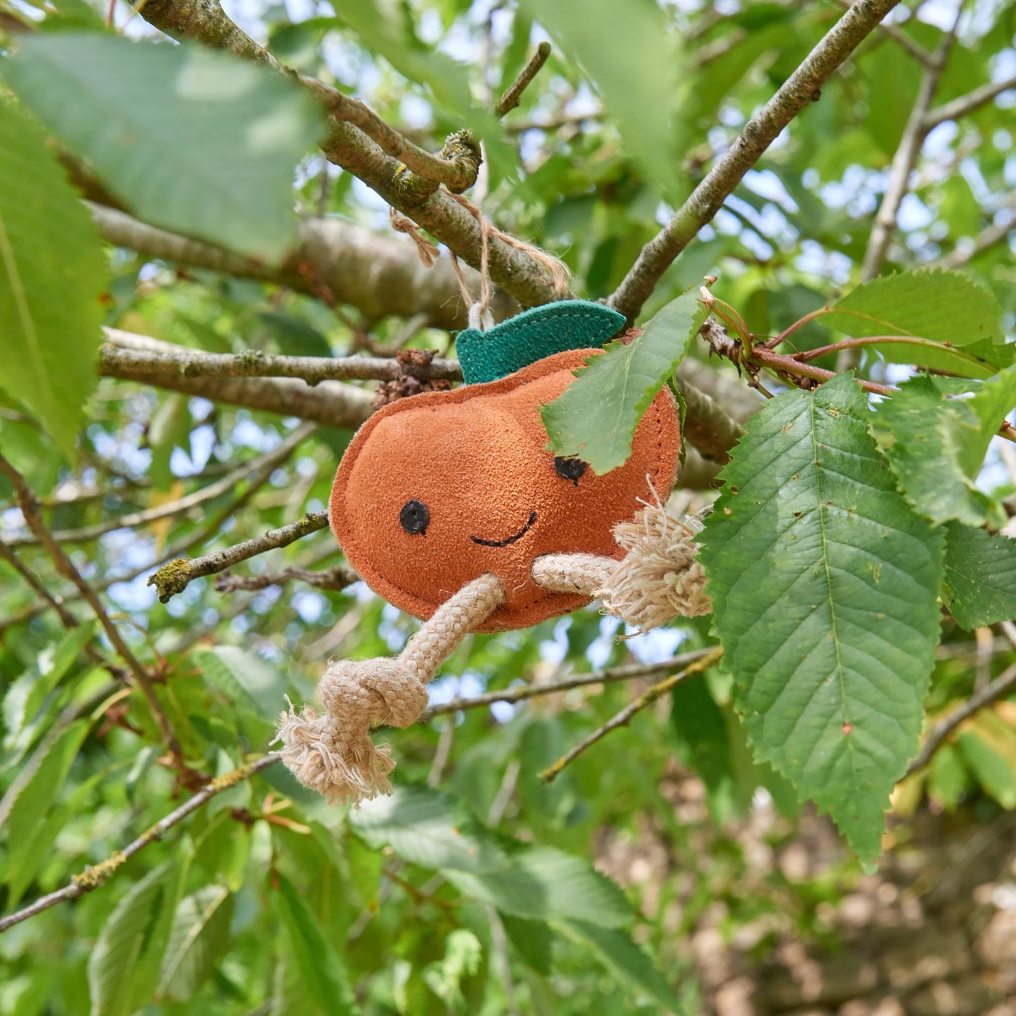 Sancho a mandarin - öko kutyajáték