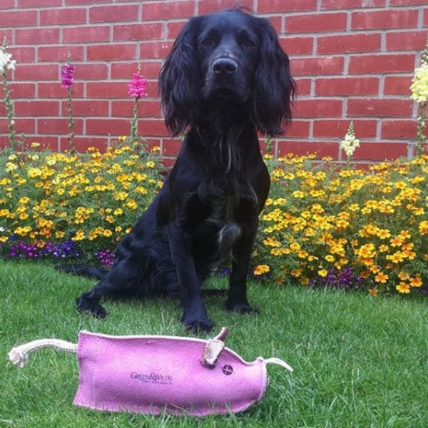 Peggy a malac - kutyajáték