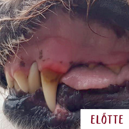 Dentanol Fogkő, Fogínygyulladás & Szájszag Elleni Por Kutyáknak & Macskáknak - Leiky