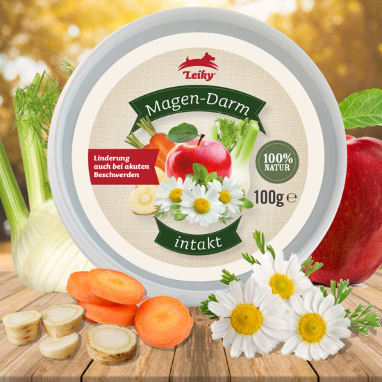 Túlsavasodás, hányinger, hasmenés elleni gyógynövény, zöldség-gyümölcs keverék - Leiky