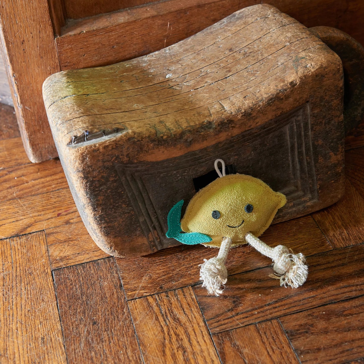 Libby a citrom - öko kutyajáték