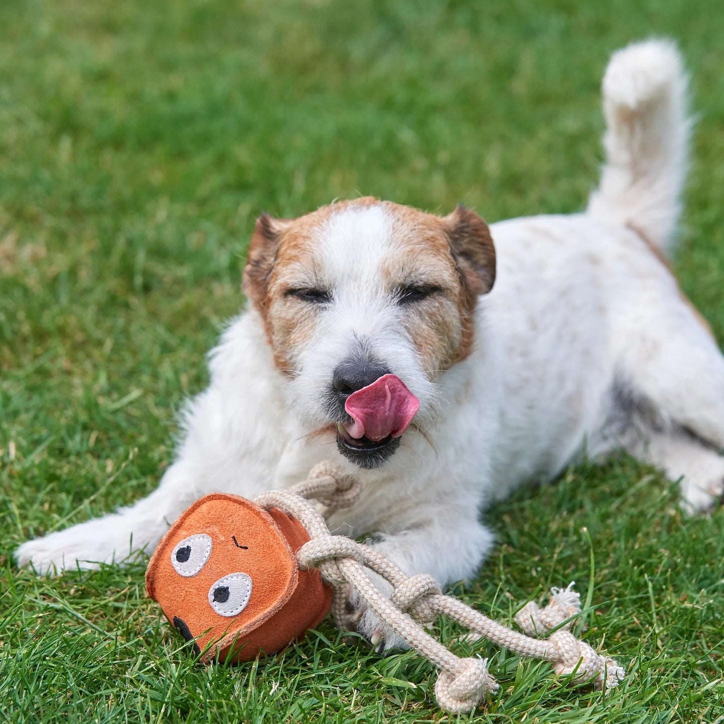 Sid a tintahal - öko kutyajáték
