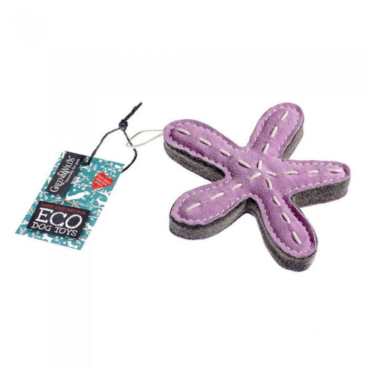 Stanley a tengeri csillag - kutyajáték