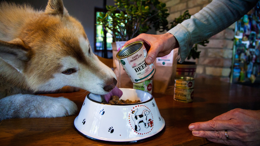 Miért olyan népszerűek a csontlevesek?