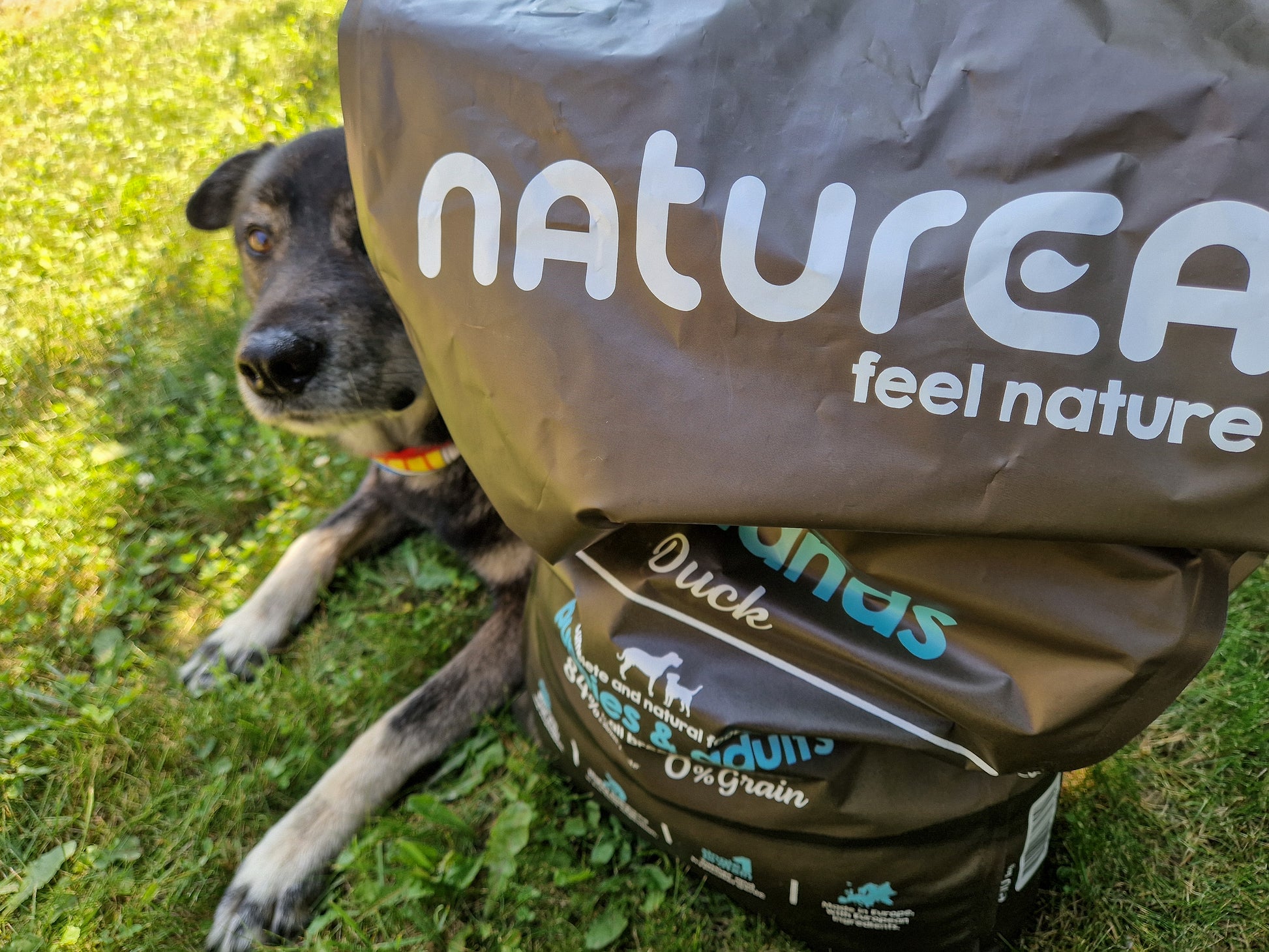 Naturea Ethos Wetland duck hipoallergén kutyaáp kacsahússal