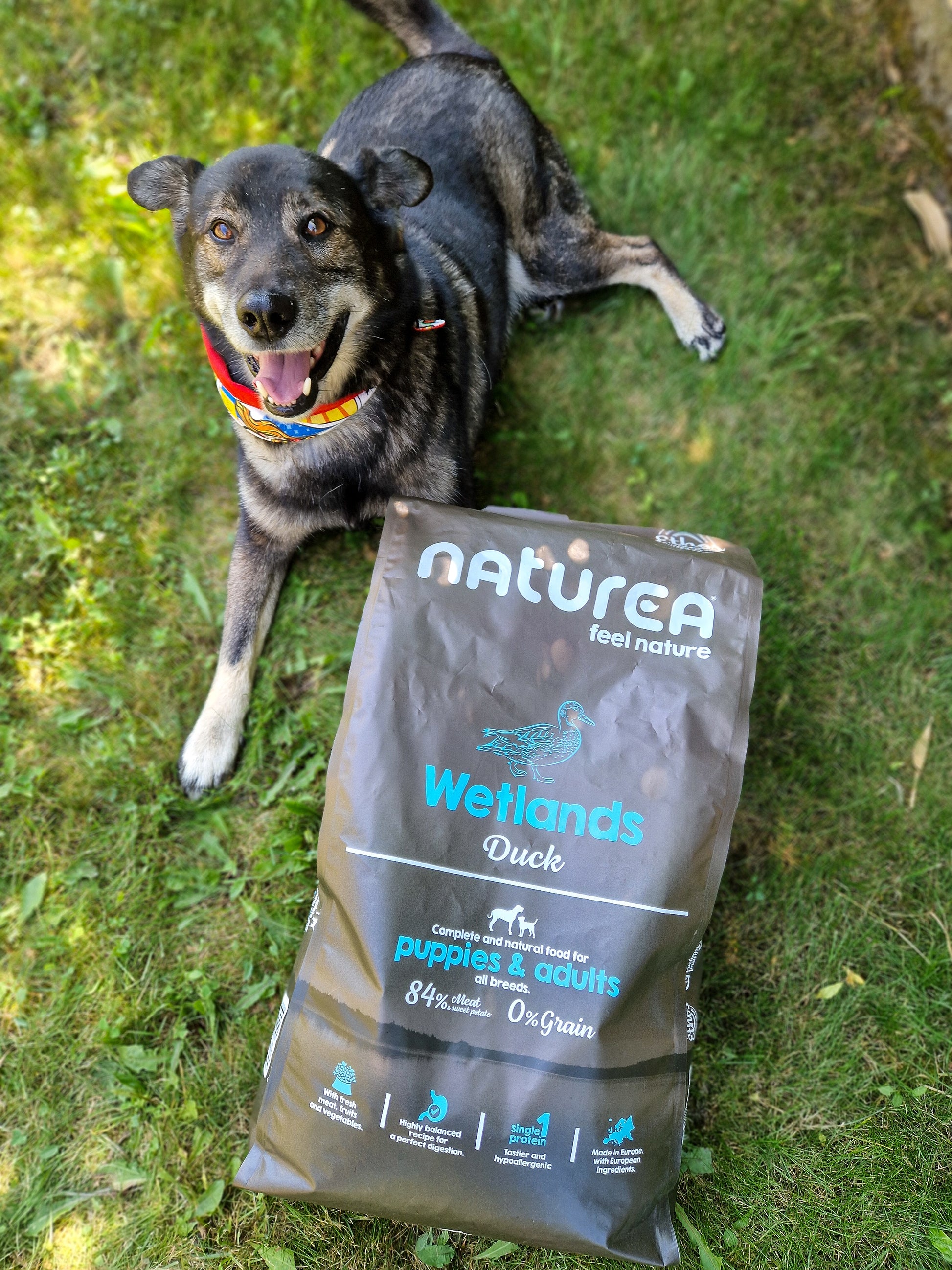 Naturea Ethos Wetland duck hipoallergén kutyaáp kacsahússal