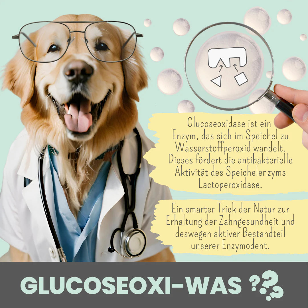 Enzymodent enzimatikus kutyafogkrém természetes enzimekkel