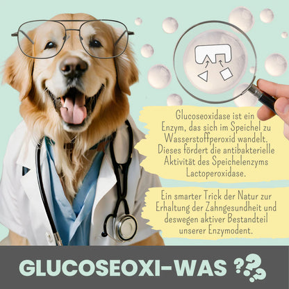 Enzymodent enzimatikus kutyafogkrém természetes enzimekkel