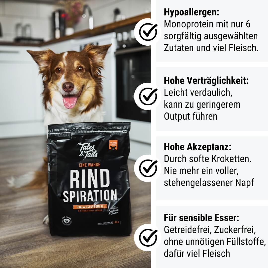 Félnedves száraztáp kutyáknak marhahúsból