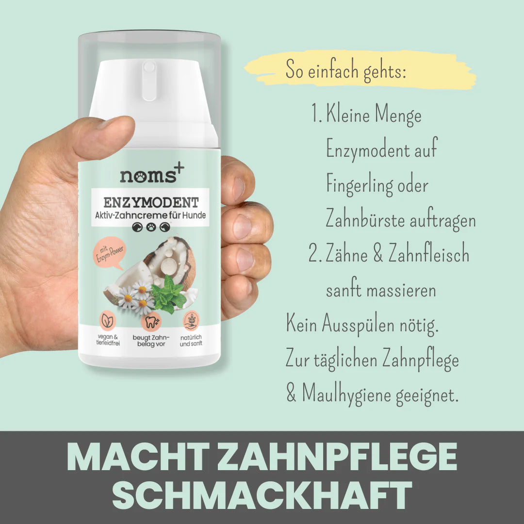 Enzymodent enzimatikus kutyafogkrém-egyszerű használat