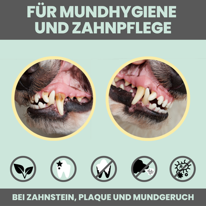 noms+ fogápoló spray kutyáknak