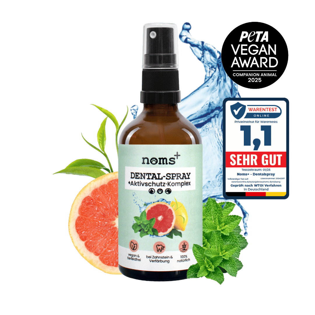 noms+ fogápoló spray kutyáknak és macskáknak