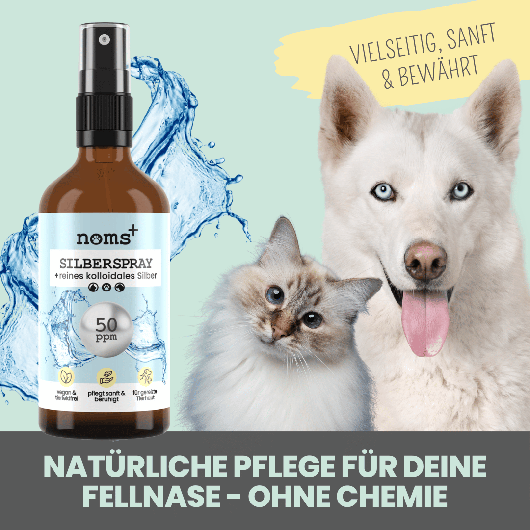 Ezüst kolloid spray kutyáknak és macskáknak - 100ml