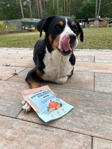 Boldog kutya a Probio Belly Snacks tasak mellett