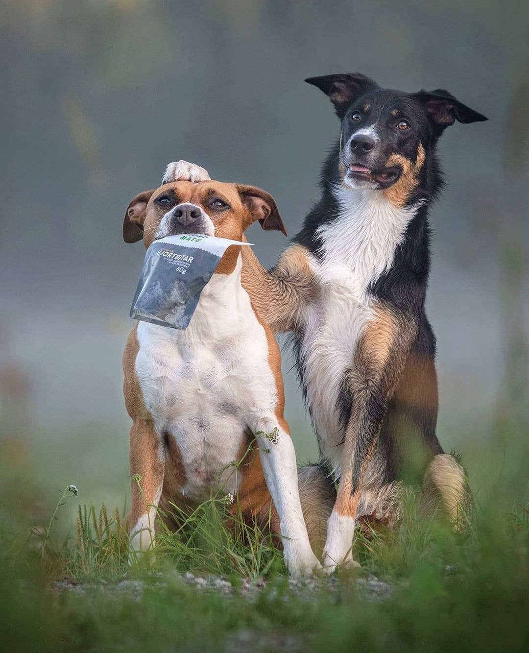 Sund Hund Fagyasztva szárított szarvashús jutalomfalat kutyáknak tréningezés közben