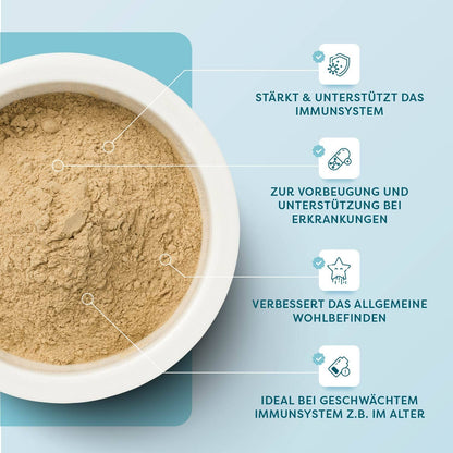 ImmunBooster Dog táplálékkiegészítő kutyáknak por közelről