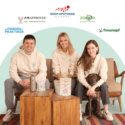 NOMS+ Termékfejlesztő állatorvos csapat