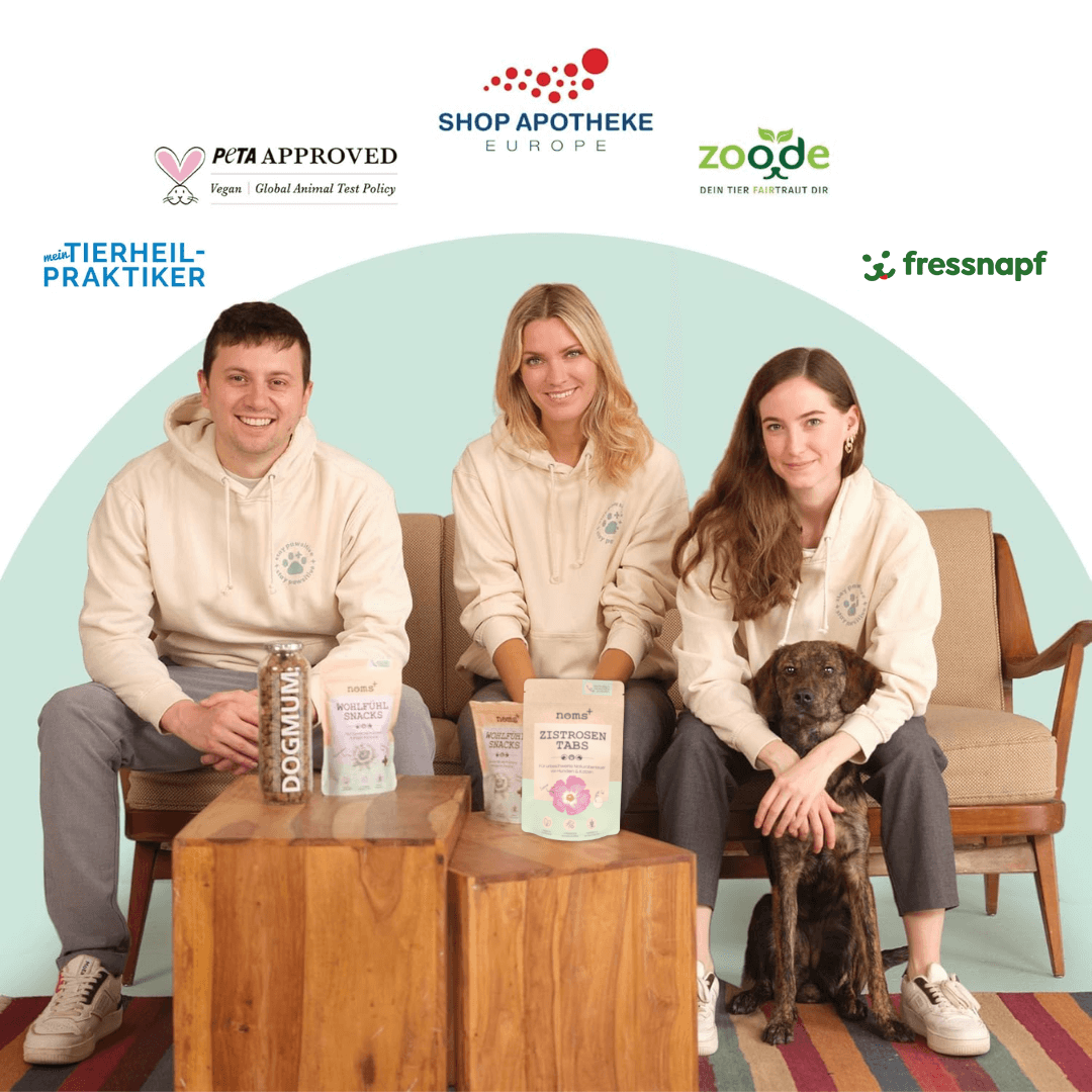 A gyártó csapat Noms+