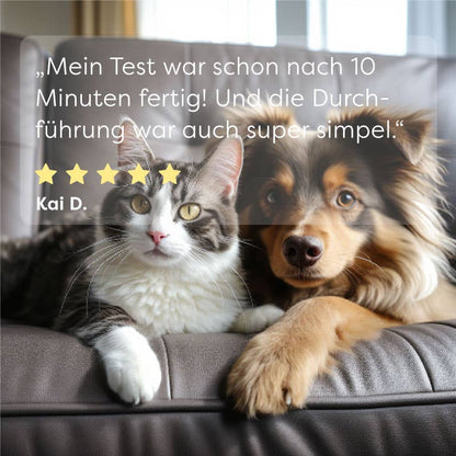 Giardia kimutatása kutyáknál gyorsteszttel