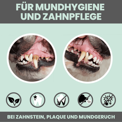Noms+ Dentalmix természetes fogápoló por előtte utána fotó