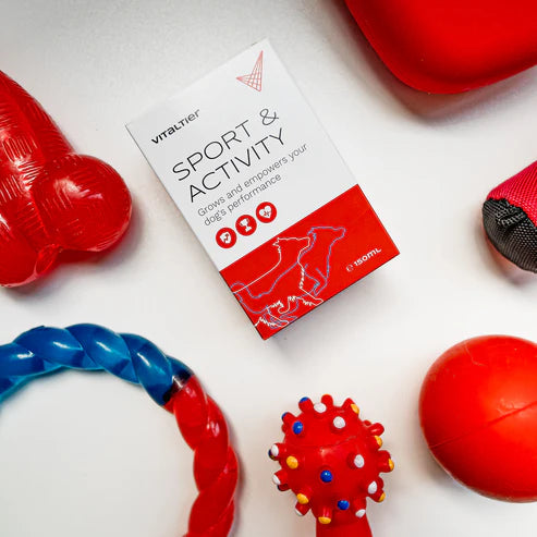 Vitaltier Sport & Activity készítmény aktív kutyáknak