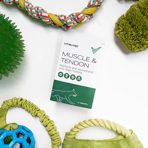 Vitaltier Muscle & Tendon folyékony kiegészítő kutyáknak