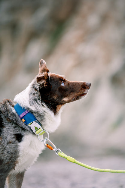 Woolly Wolf kötélpóráz - Lime zöld