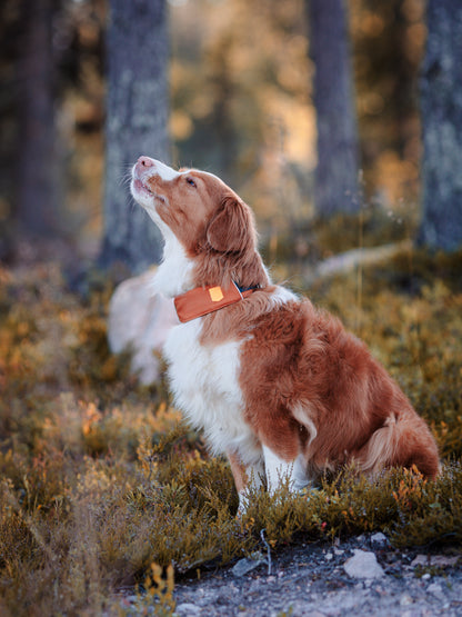 Woolly Wolf Terracocca Mix  kutyanyakörv - újrahasznosított anyagokból