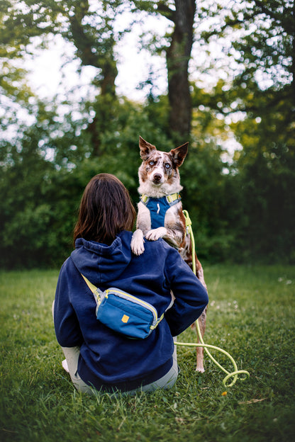 Woolly Wolf Alpha 360 hám - Deep Teal Mix