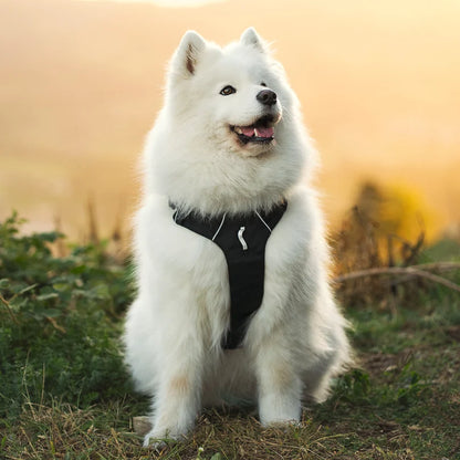 Woolly Wolf Alpha 360 kutyahám extra kényelmes és tartós