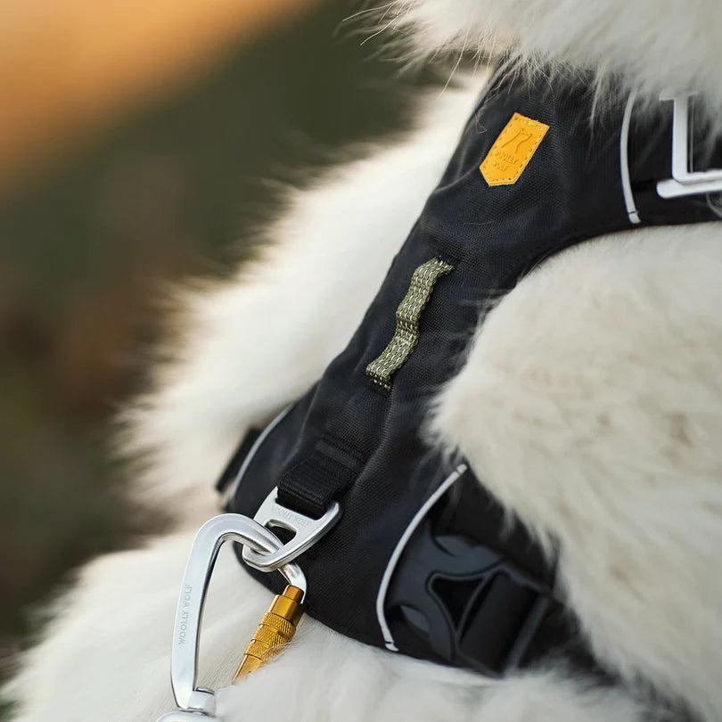 Woolly Wolf Alpha 360 kutyahám extra biztonságos fényvisszaverő csíkokkal
