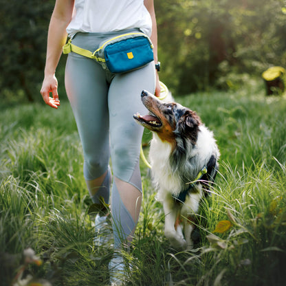 Woolly Wolf Alpha 360 övtáska deep teal színben, kutyásoknak