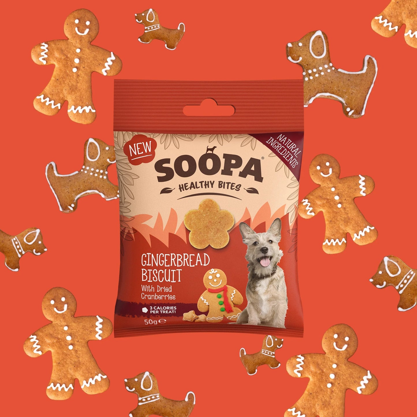 Soopa Healthy Bites - Gingerbread biscuit - Limitált kiadás - 50gr