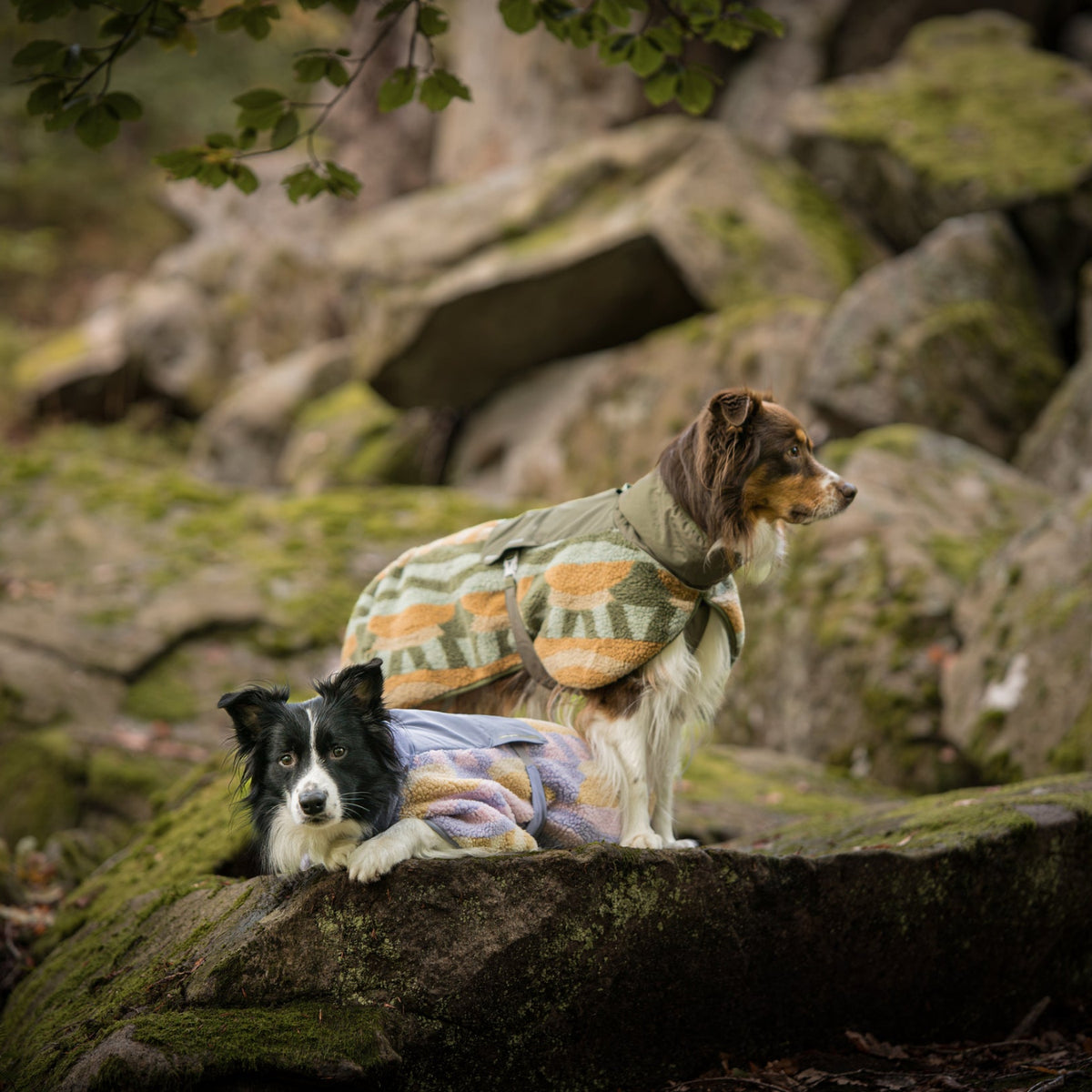 Woolly Wolf Borealis Pile Fleece Jacket kutyakabát két színben