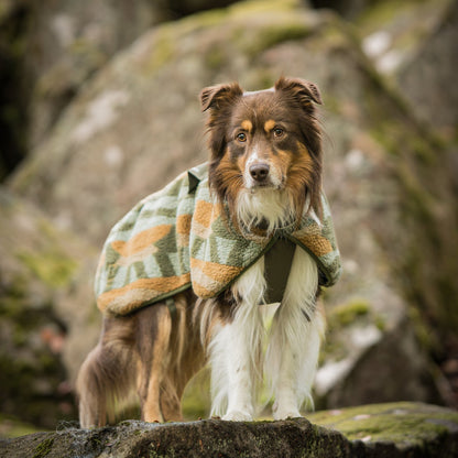 Woolly Wolf Borealis Pile polár kutyakabát