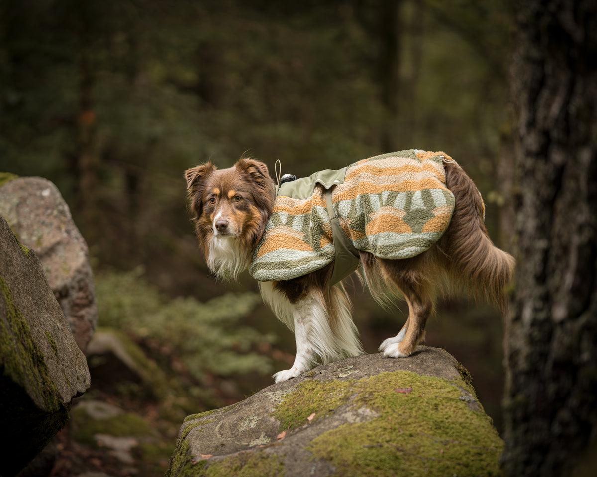 Woolly Wolf Borealis Pile polár kutyakabát - Cloudbeam színben
