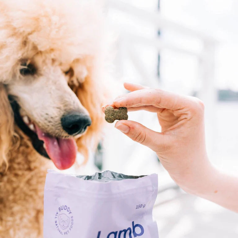 Buddy Lamb Crunch – ízletes bárányos jutalomfalat kutyáknak