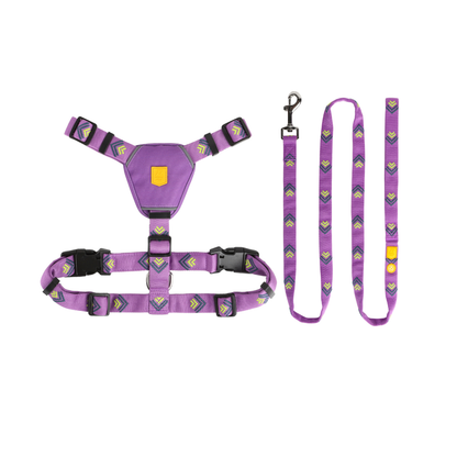 Woolly Wolf Northern Lights szett - hám + póráz