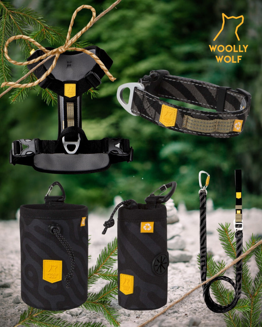 Woolly Wolf Roam kutyafelszerelések