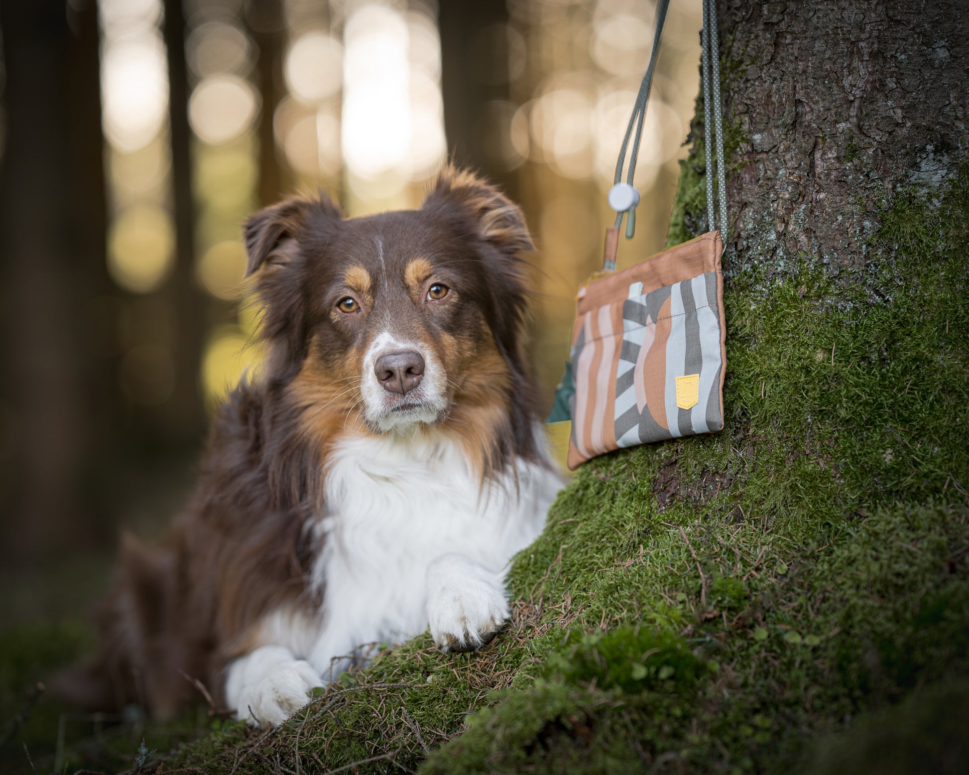 Woolly Wolf Cloudbeam válltáska – praktikus táska jutalomfalat tartóval és kakizacskó adagolóval