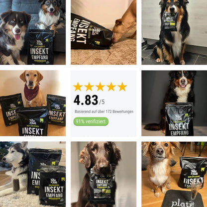 Rovarfehérje - Félnedves Kutyatáp Felnőtt Kutyáknak - 1.5kg