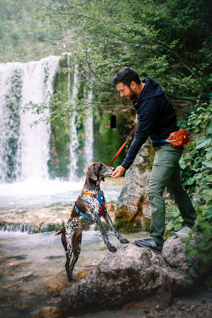 Woolly Wolf Color Block szett - hám + póráz