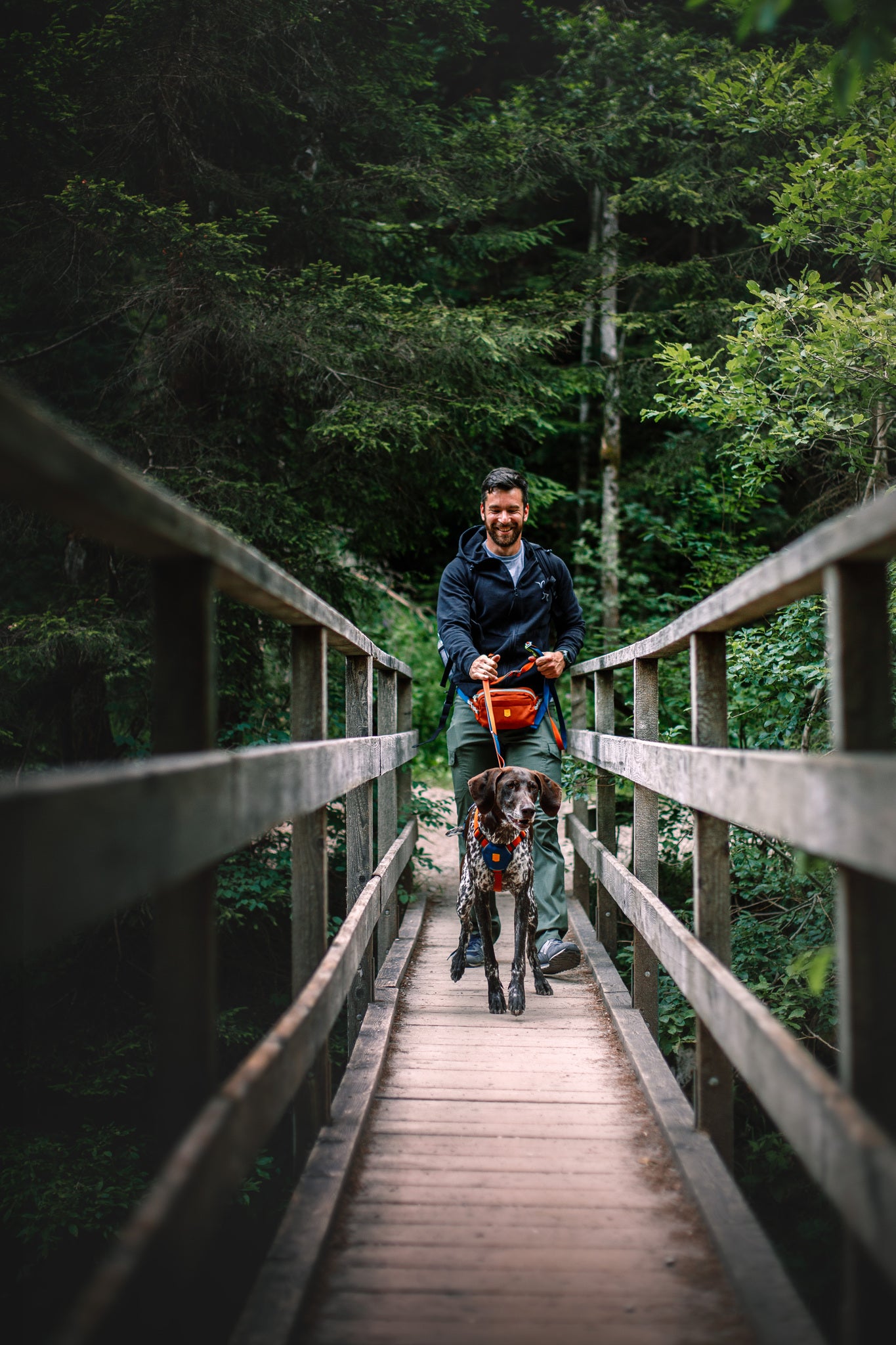 Woolly Wolf Color Block szett - hám + póráz