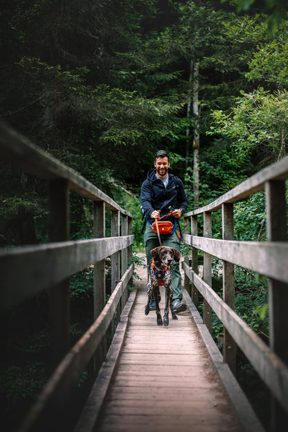 Woolly Wolf Color Block szett - hám + póráz