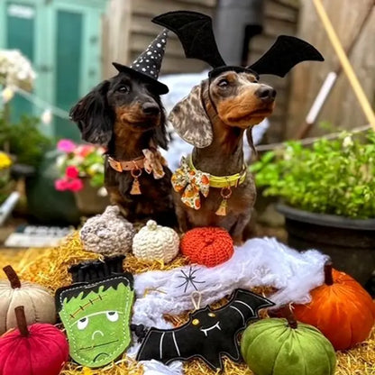 Halloween-i öko kutyajátékok