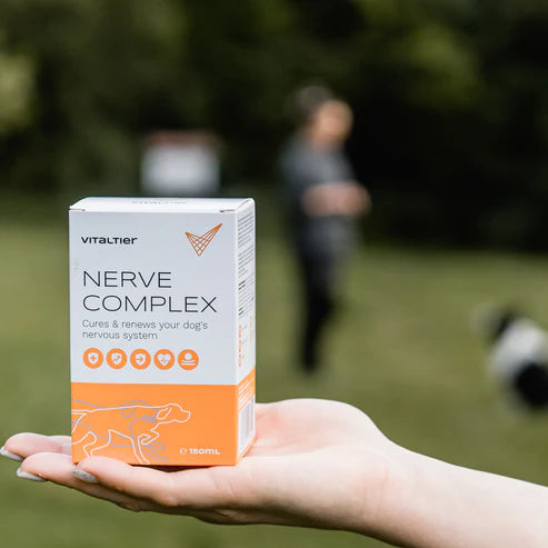 Vitaltier Nerve Complex közelről